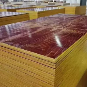 plywood gule