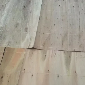 plywood production 5
